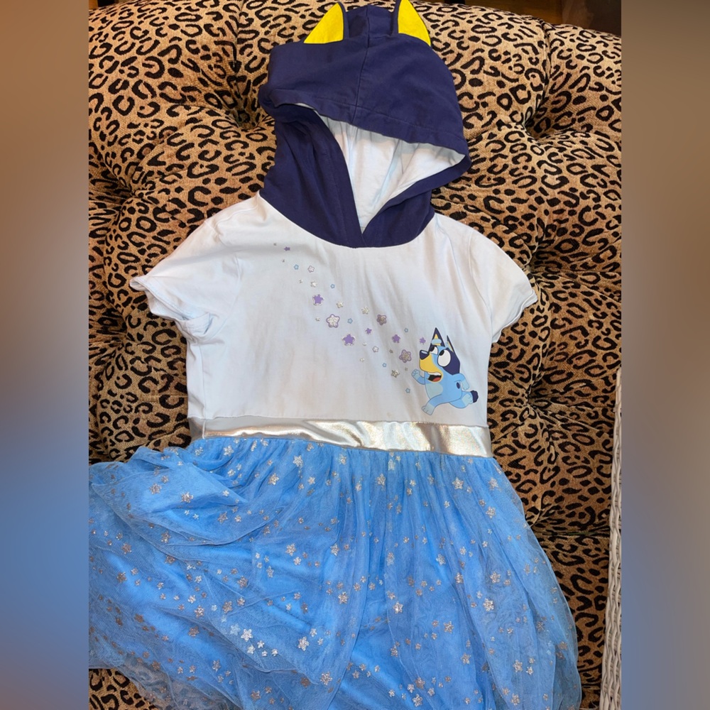 Casual Blue and White Dress with Sparkly Tulle Skirt